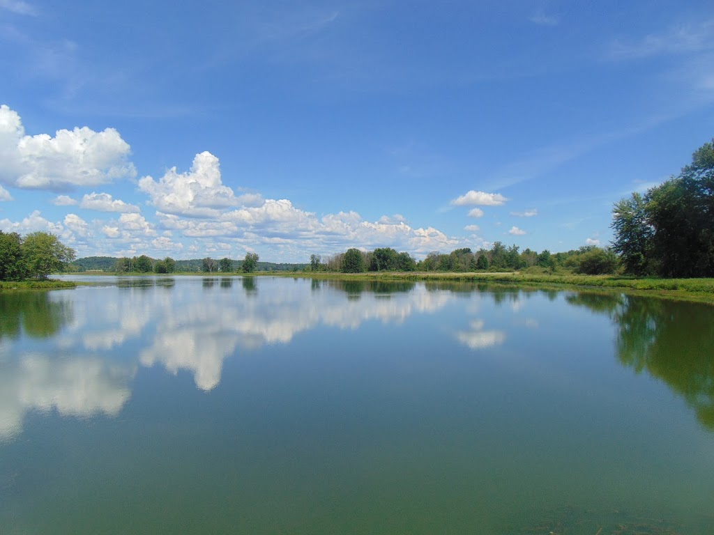 Parc national de Plaisance, secteur Thurso | Sentier des Outaouais, Thurso, QC J0X 3B0, Canada | Phone: (819) 427-5334