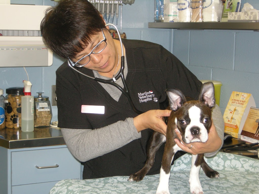 Martin Veterinary Hospital | 5460 Dundas St W, Etobicoke, ON M9B 1B4, Canada | Phone: (416) 239-7709