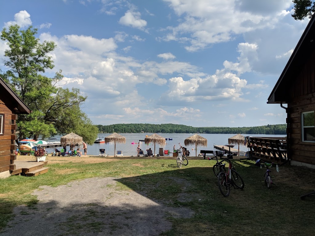 Red Eagle Family Campground | 289 Wollaston Lake Rd, Coe Hill, ON K0L 1P0, Canada | Phone: (613) 337-5587