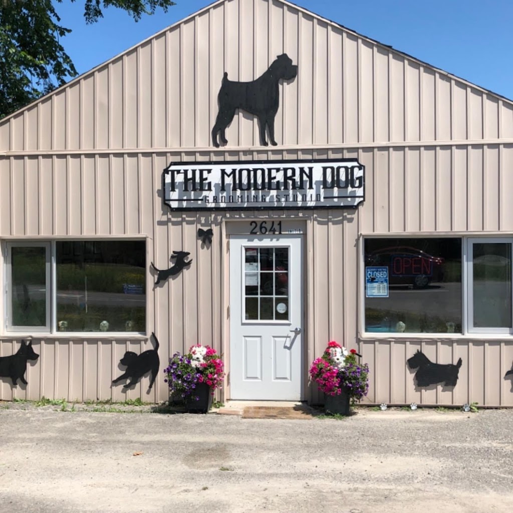 The Modern Dog Grooming Studio | 2641 Television Rd, Peterborough, ON K9J 0G6, Canada | Phone: (705) 876-9660