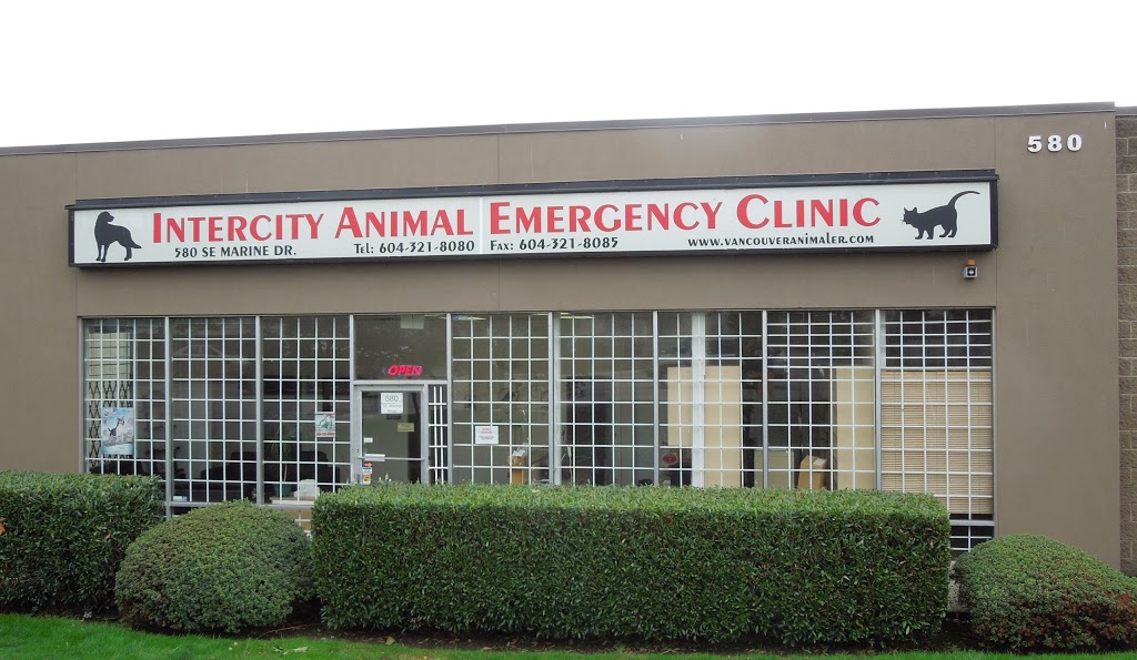 Intercity Animal Emergency Clinic | 580 SE Marine Dr, Vancouver, BC V5X 2T4, Canada | Phone: (604) 321-8080