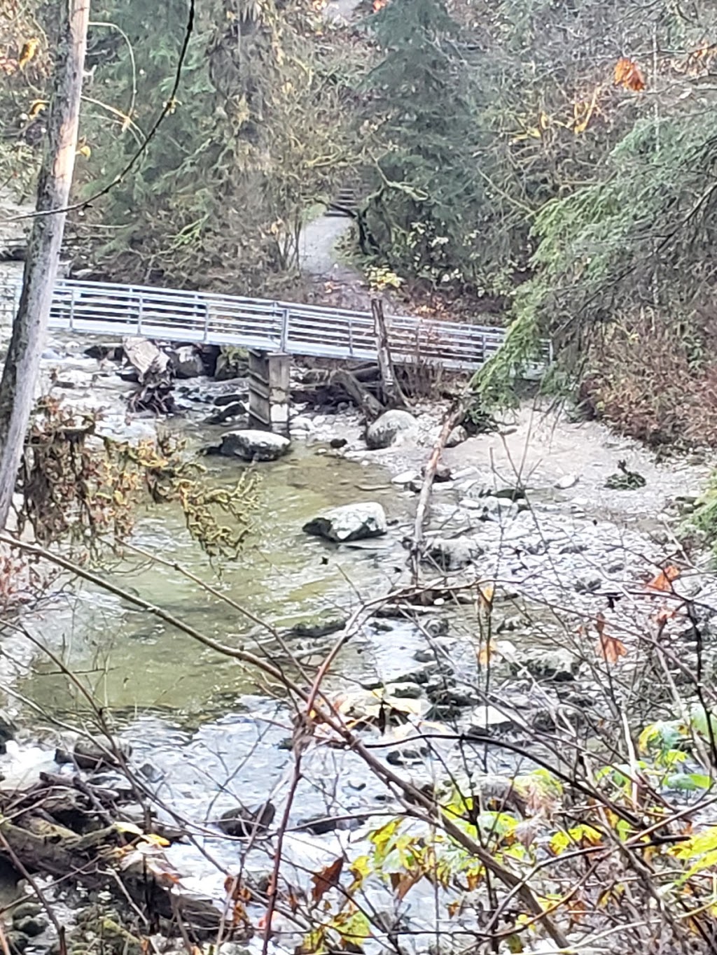 North Fork Loop Trail, | N Fork Loop Trail, Maple Ridge, BC V4R 1E3, Canada