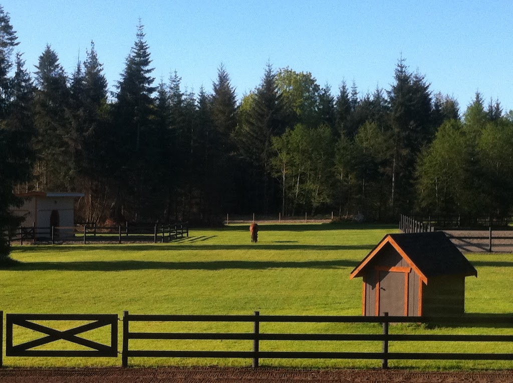 Valley Green Hydroseeding | 1603 Little River Rd, Comox, BC V9M 4C4, Canada | Phone: (250) 218-9828