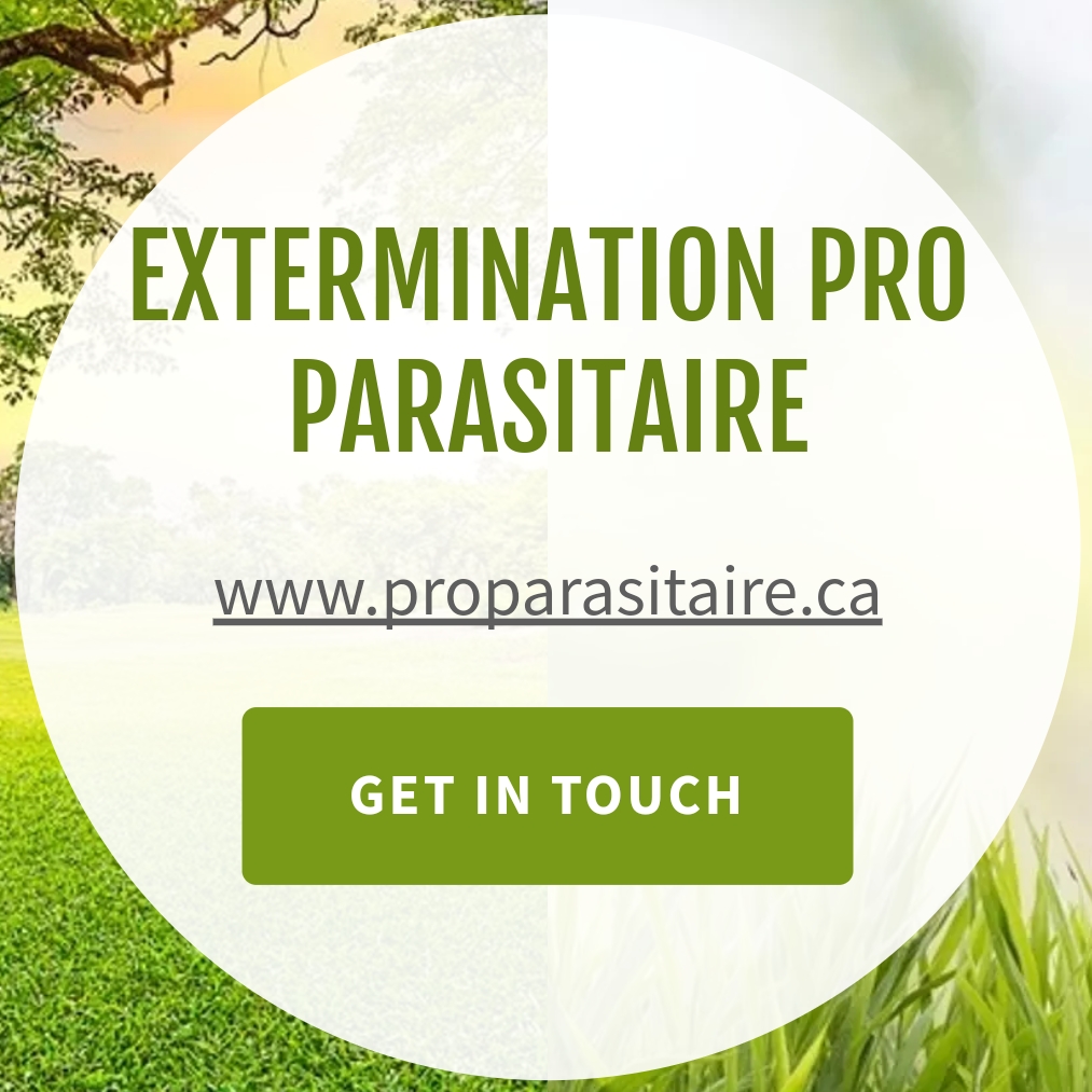 Extermination Pro Parasitaire | 5b Rue du Centre Commercial, Roxboro, QC H8Y 2N9, Canada | Phone: (514) 447-7476