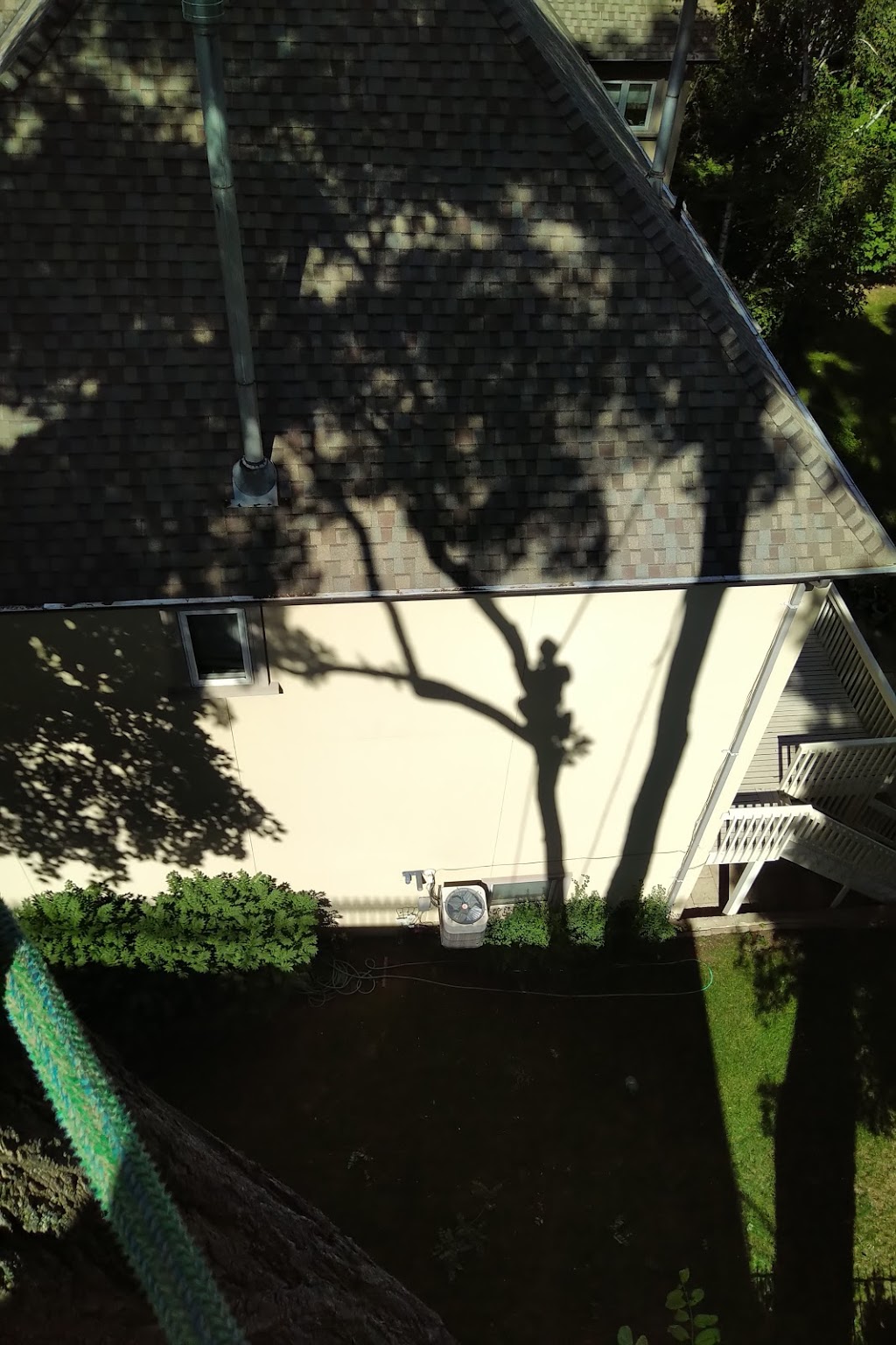 CBL Tree Service | 4 Delverton Pl, Toronto, ON M2J 1Y6, Canada | Phone: (416) 226-5654