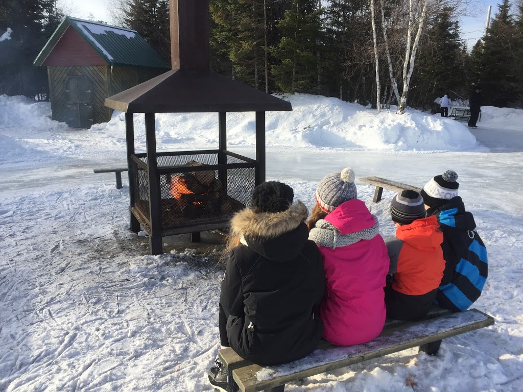 Patinoire de Shannon | 73 Chemin de Gosford, Shannon, QC G3S 0W4, Canada | Phone: (418) 844-3778