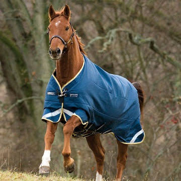 Euro Equestrian Tack Shop | 912 Concession 12, RR4, Paisley, ON N0G 2N0, Canada | Phone: (519) 385-4541