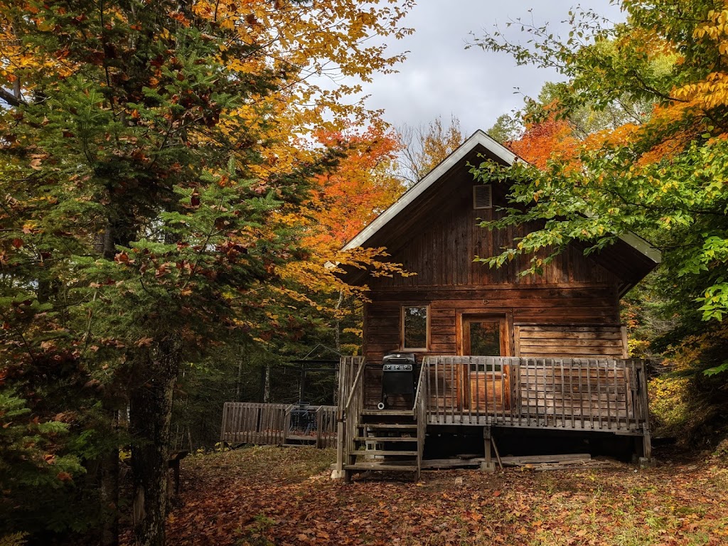 Lièvre Rouge - Refuge en forêt - Cabine - Log Cabins | 158 Chem. des 5 et 6 Rang, Lac-Saguay, QC J0W 1L0, Canada | Phone: (819) 921-0354