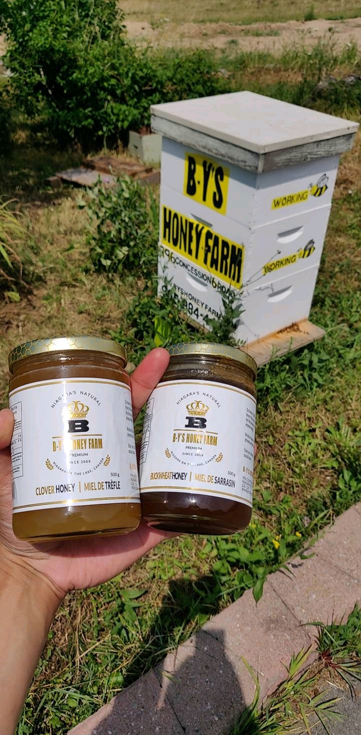 B-Ys Honey Farm | 996 Concession 6 Rd, Niagara-on-the-Lake, ON L0S 1J0, Canada | Phone: (905) 984-4408