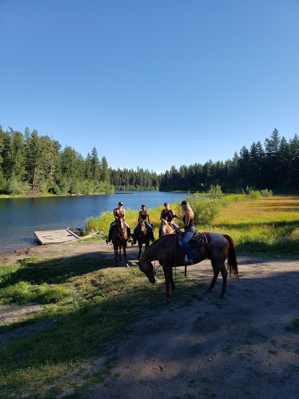 COLDWATER STABLES | Patchett Rd, Merritt, BC V1K 1M9, Canada | Phone: (604) 209-4097