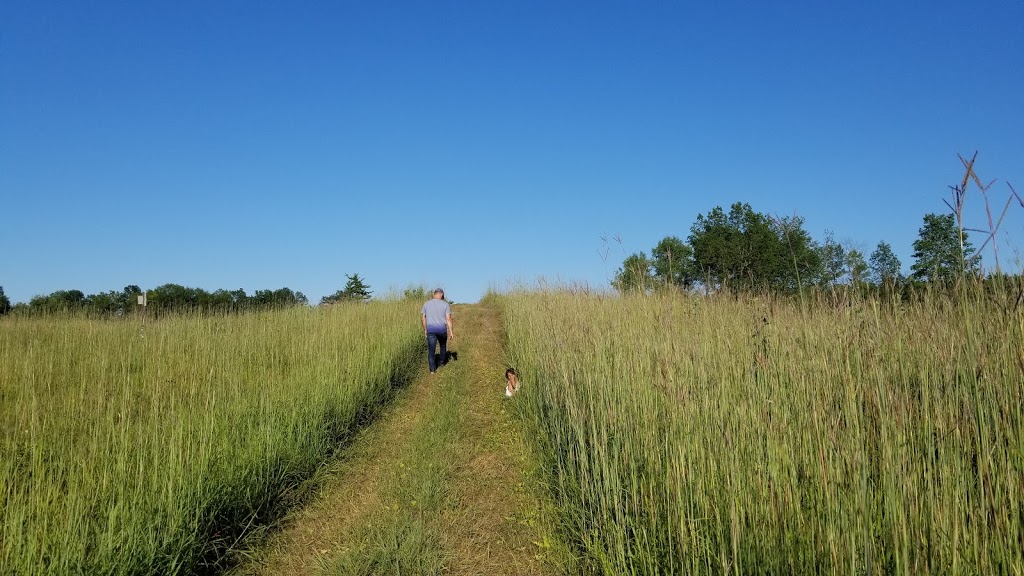 Alderville First Nation Black Oak Savanna | 8467 Northumberland County Rd 18, Roseneath, ON K0K 2X0, Canada | Phone: (905) 352-1008