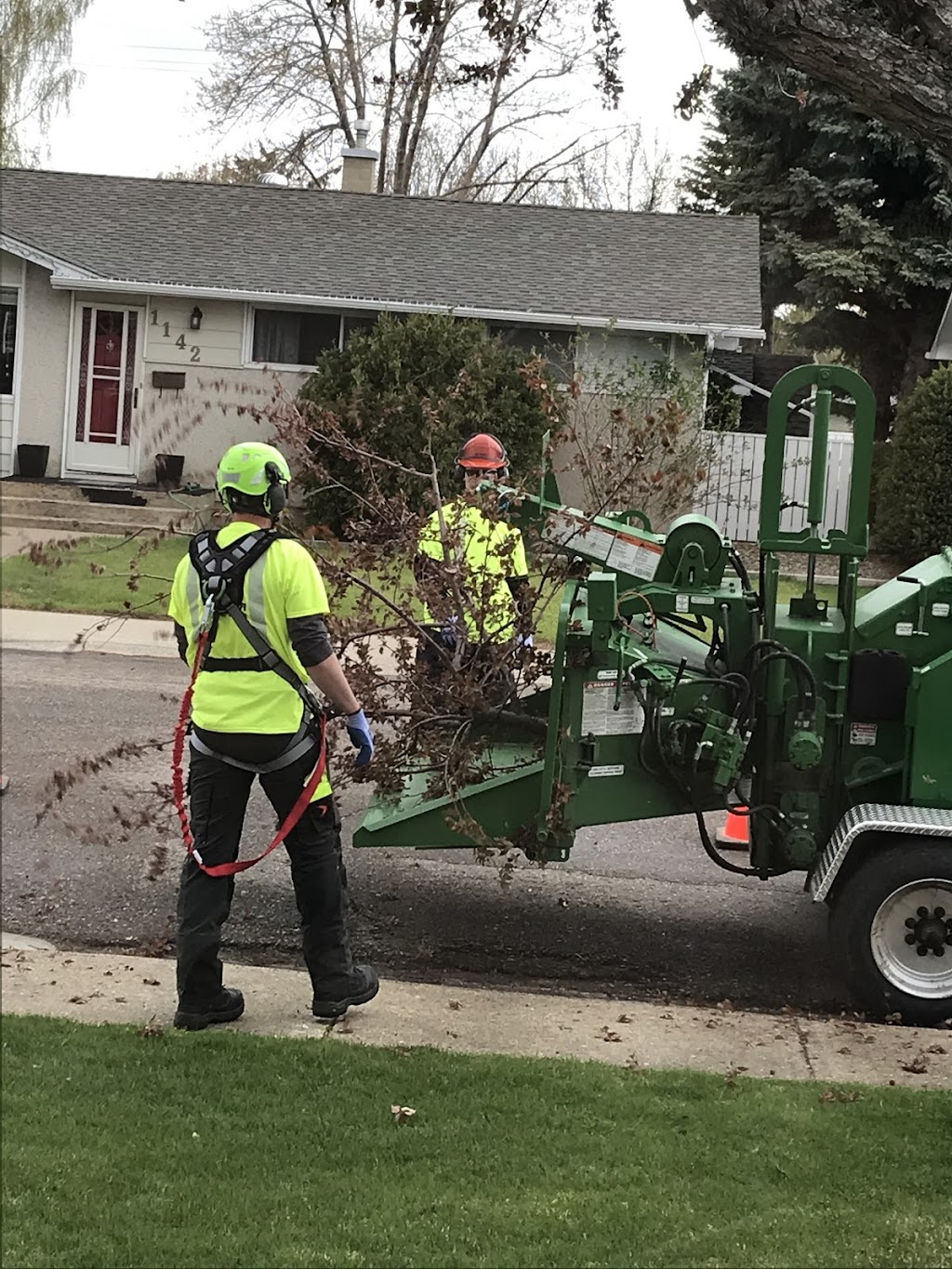 Tri-Alta Tree Care Inc | 3755 18 Ave N, Lethbridge, AB T1H 6T2, Canada | Phone: (587) 787-1080