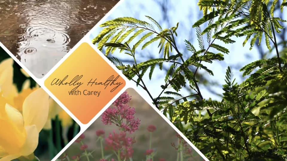 Wholly Healthy | 33 Grand Park Crescent, Camrose, AB T4V 2K3, Canada | Phone: (780) 223-4714