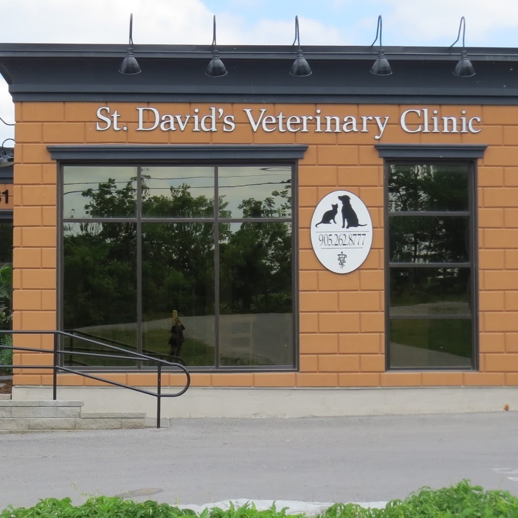 St. Davids Veterinary Clinic | 329 Four Mile Creek Rd, St. Davids, ON L0S 1P0, Canada | Phone: (905) 262-8777