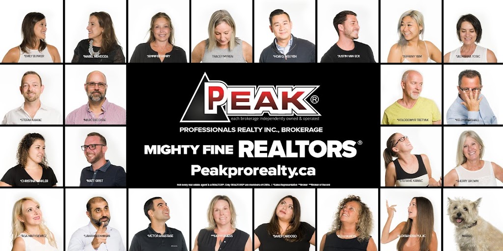 Matt Grist Realtor Peak Professionals Realty Inc. | 931 Oxford St E, London, ON N5Y 3K1, Canada | Phone: (226) 678-7653