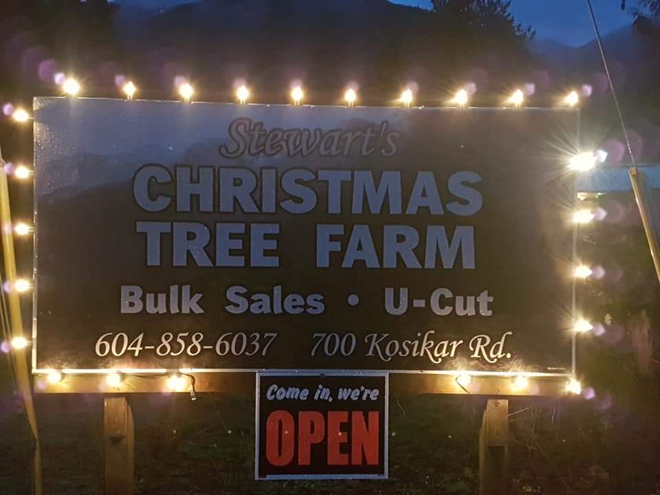 Stewarts Christmas Tree Farm | 700 Kosikar Rd, Lindell Beach, BC V2R 4X7, Canada | Phone: (604) 858-6037