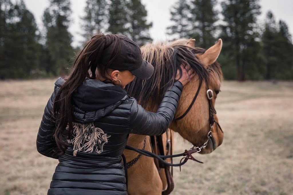 Freespirit Horsemanship | Hwy 3, BC-93, East Kootenay, BC V0B 1T0, Canada | Phone: (250) 417-6974