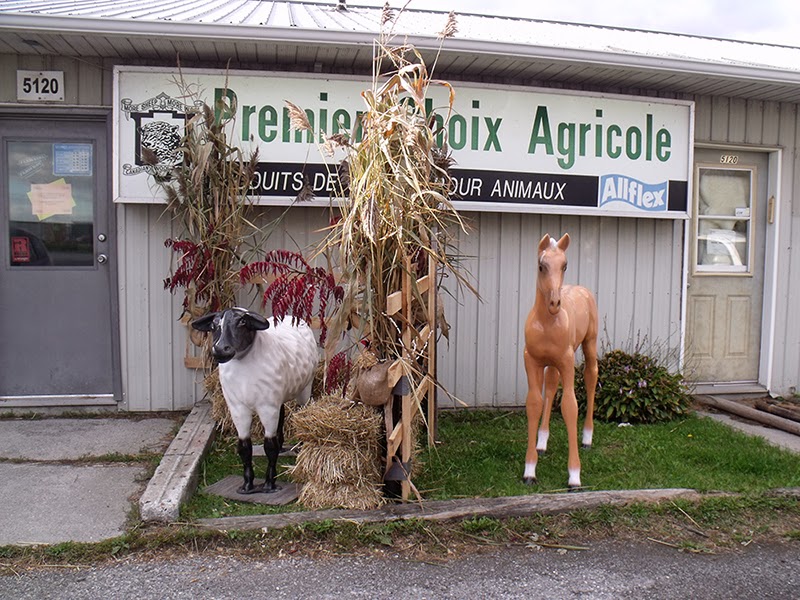 Premier Choix Agricole - CCWG Livestock Supplies | 5120 Rue Martineau, Saint-Hyacinthe, QC J2R 1T9, Canada | Phone: (450) 796-4242