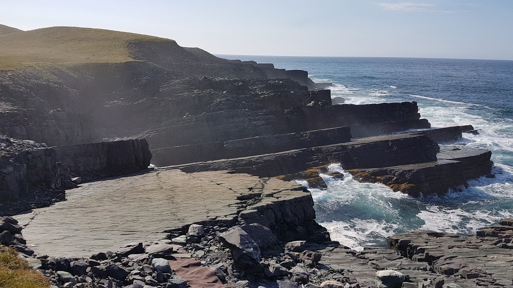 Newfoundland Ecological Reserve | NL-10, Portugal Cove South, NL A0A 4B0, Canada | Phone: (709) 438-1100