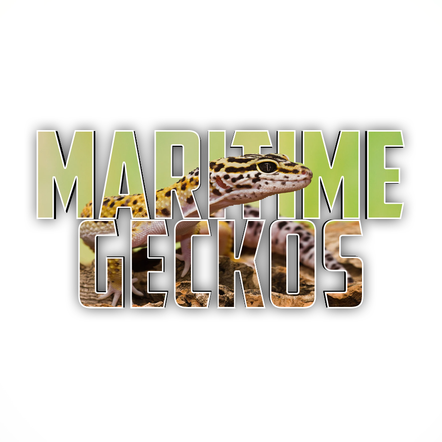 Maritime Geckos | 510 Cannontown Rd, Wellington, PE C0B 2E0, Canada | Phone: (902) 432-0194