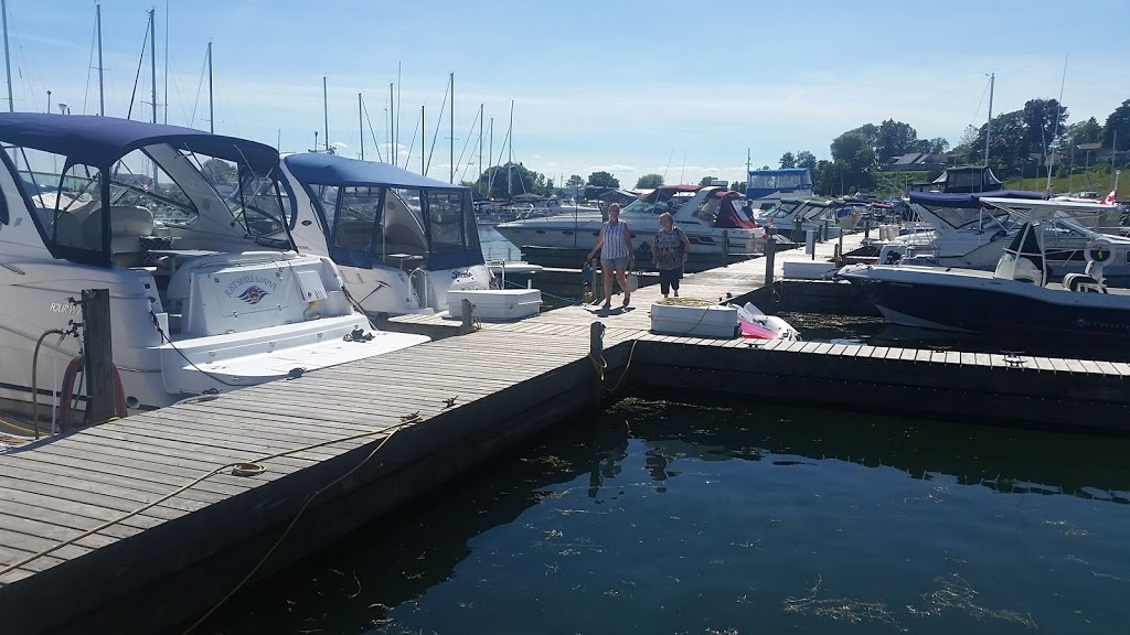 Dovercraft Marine Ltd | 15 Jaylin Crescent, Port Dover, ON N0A 1N7, Canada | Phone: (519) 583-1666