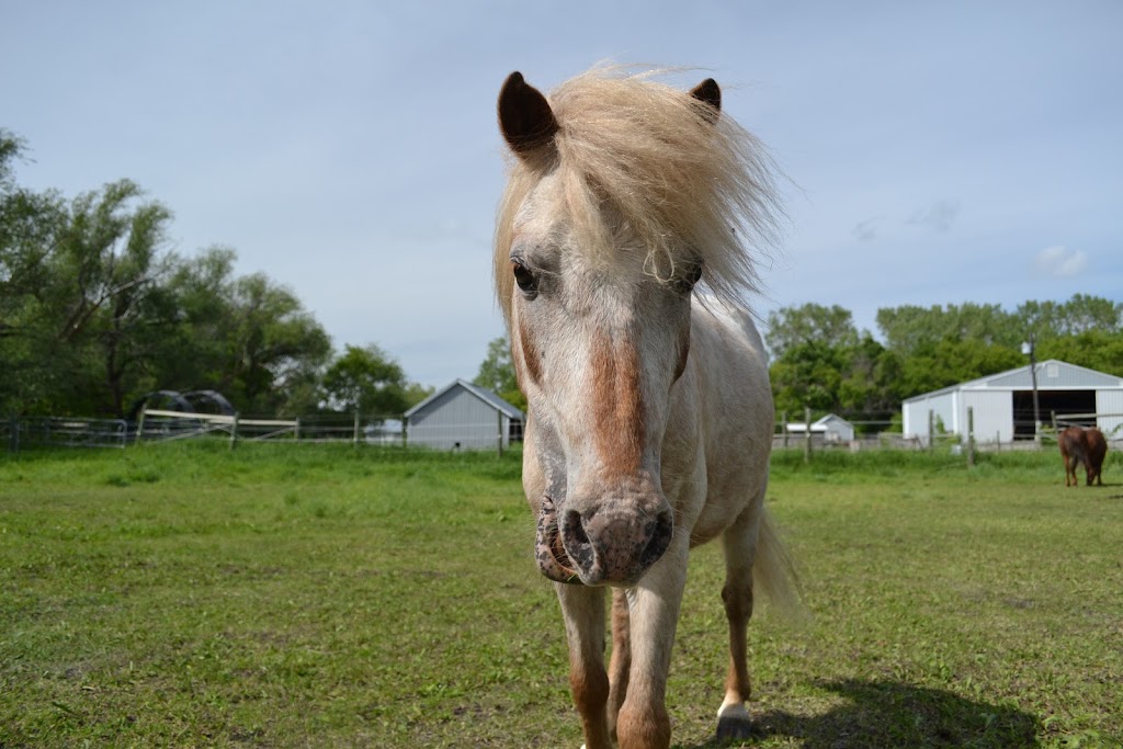 Symatree Farm | 32033 Hazelridge Rd 65N, Oakbank, MB R5N 0E5, Canada | Phone: (204) 755-2656