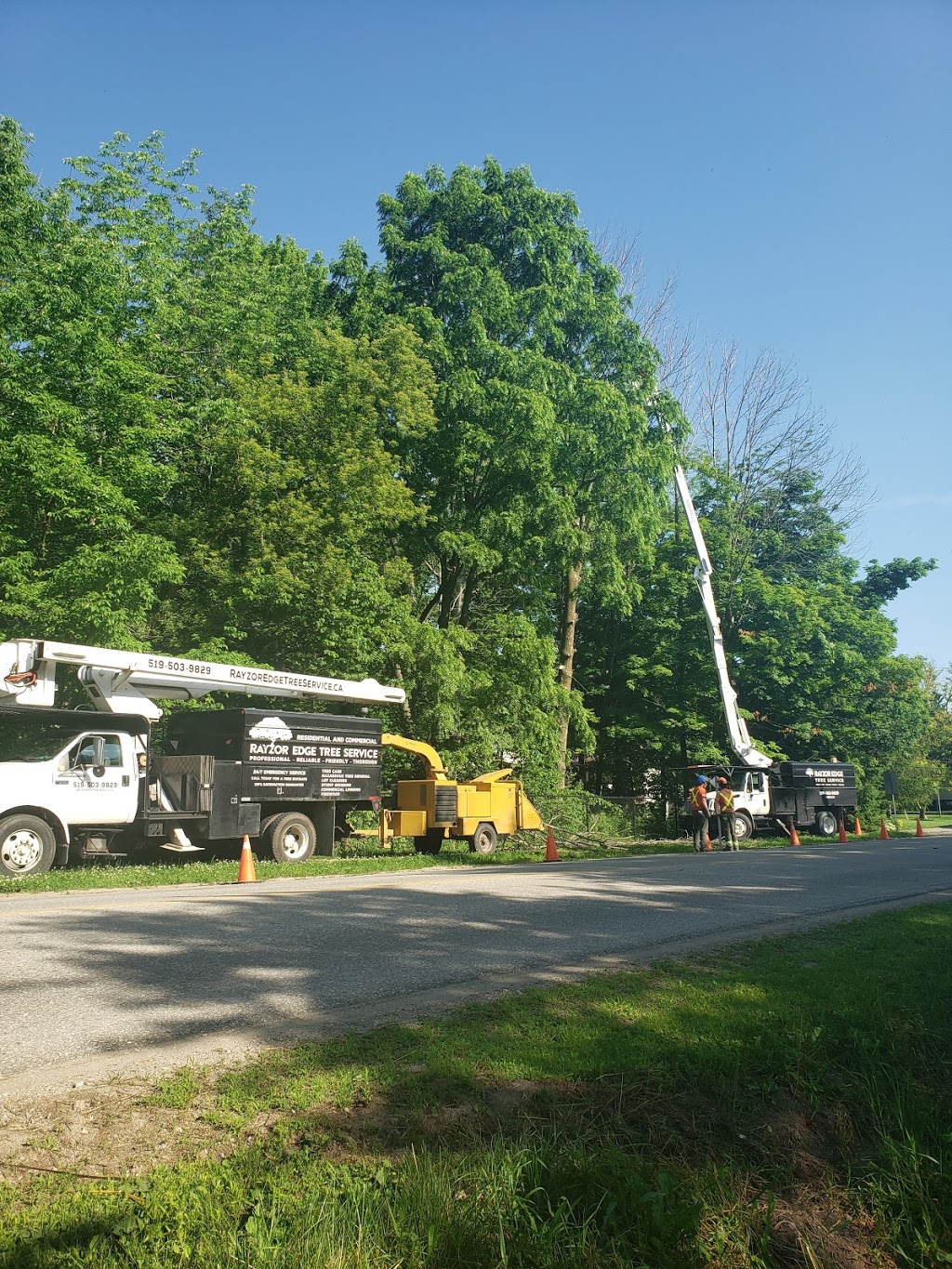 Rayzor Edge Tree Service | 1693 Durst Rd, St. Jacobs, ON N0B 2N0, Canada | Phone: (519) 503-9829