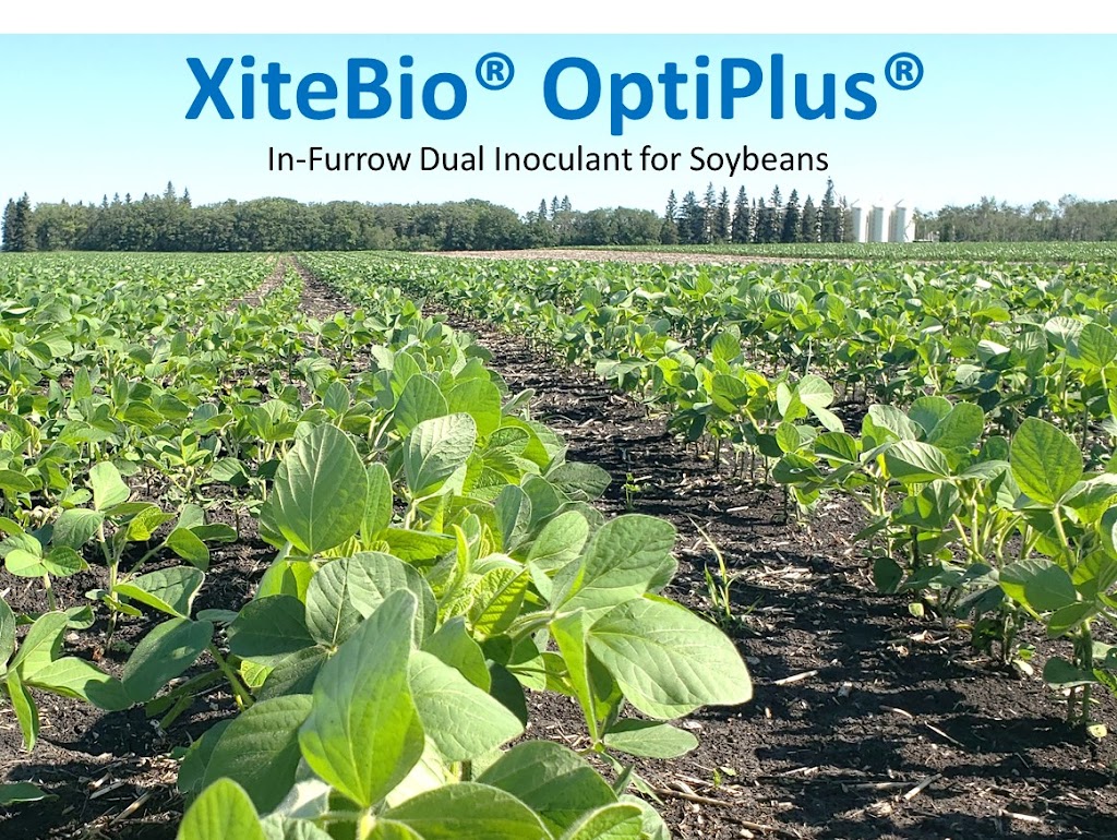 XiteBio Technologies | 3194 St Marys Rd, Winnipeg, MB R2N 4A8, Canada | Phone: (204) 257-0775