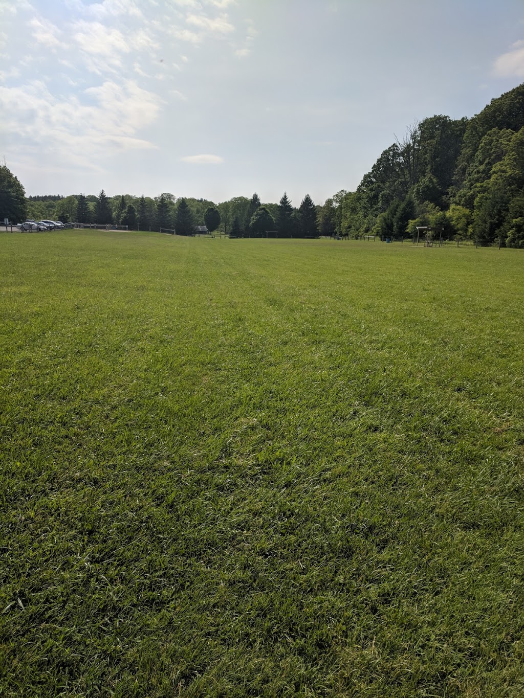 Kettle Creek Dog Park | 44070 Mapleton Line, St. Thomas, ON N5P 3T3, Canada