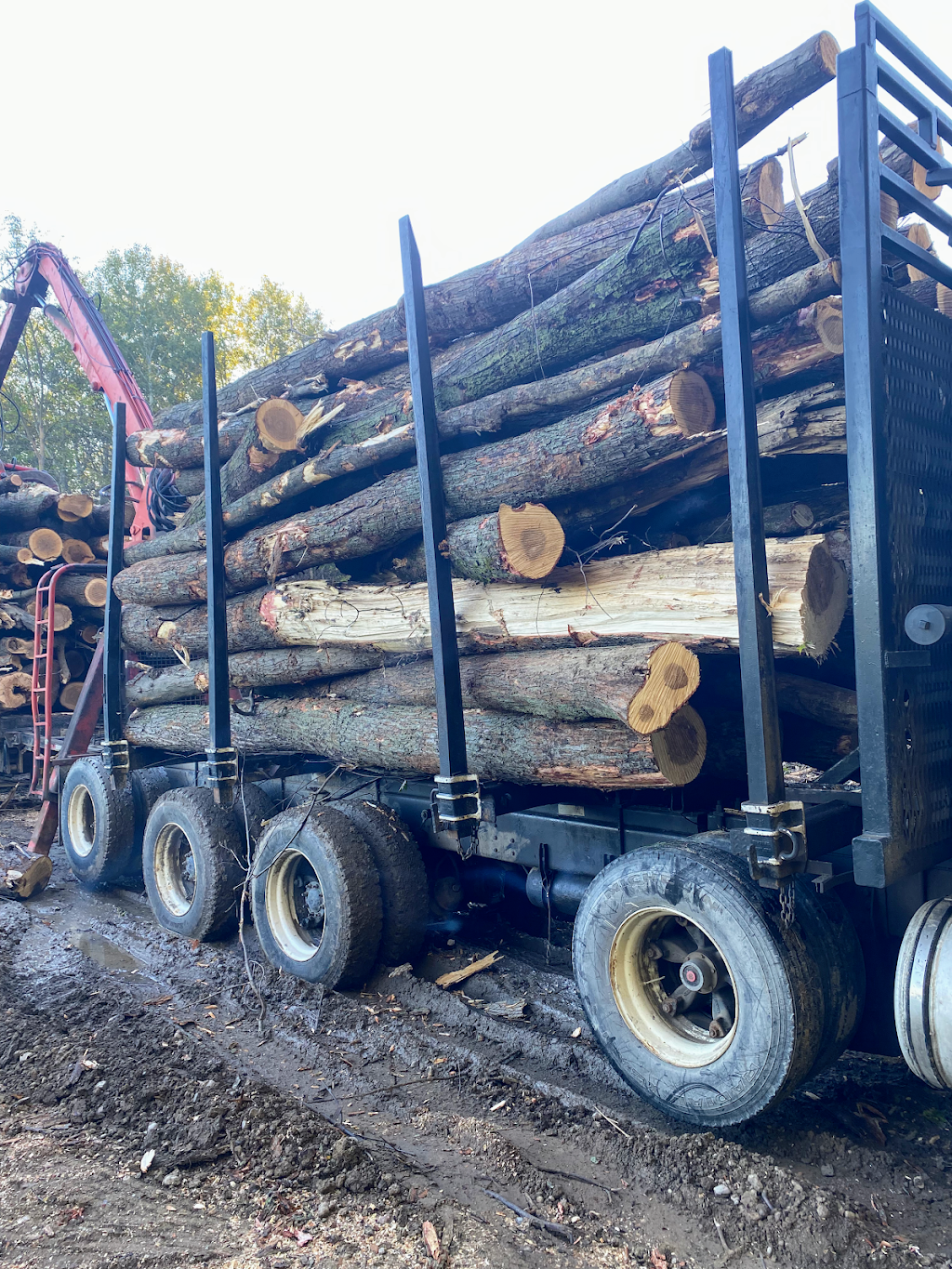 Royal York Firewood | 6 Hunthill Ct, Etobicoke, ON M9A 4A2, Canada | Phone: (647) 893-6250