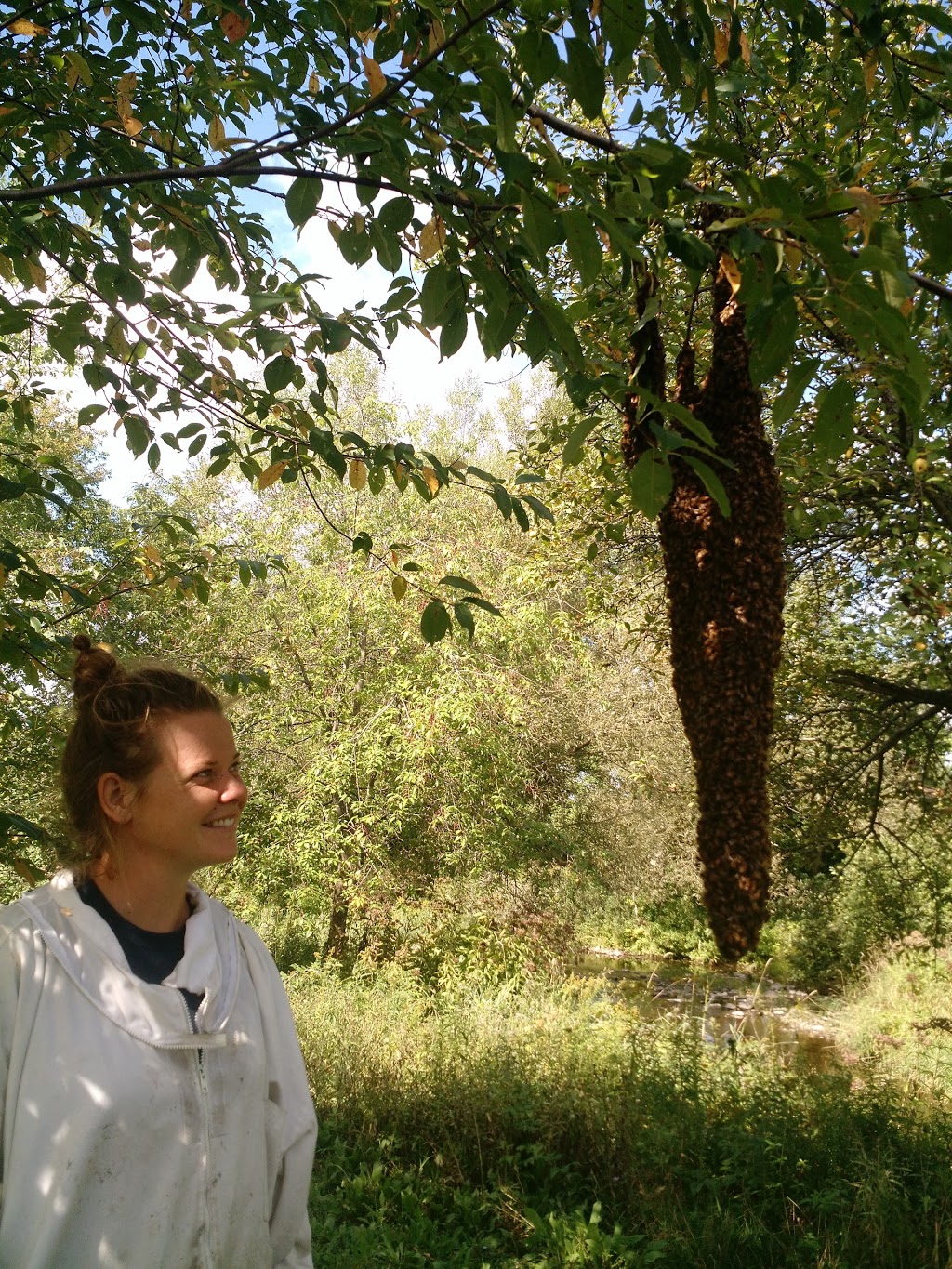 Apiculture Patenaude | 595 Rang de lÉglise S, Saint-Ignace-de-Stanbridge, QC J0J 1Y0, Canada | Phone: (514) 233-4437