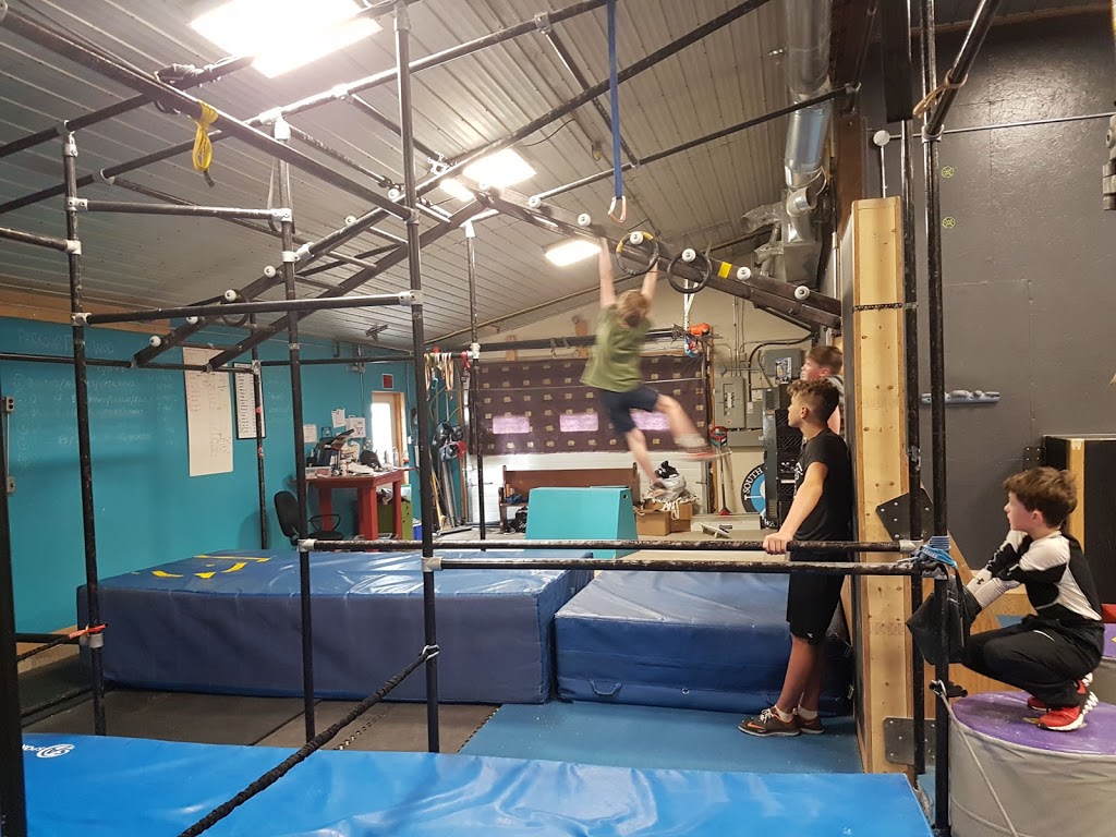 Circus In The Trees | 301 Jenkins Rd, Scotland, ON N0E 1R0, Canada | Phone: (519) 446-2201