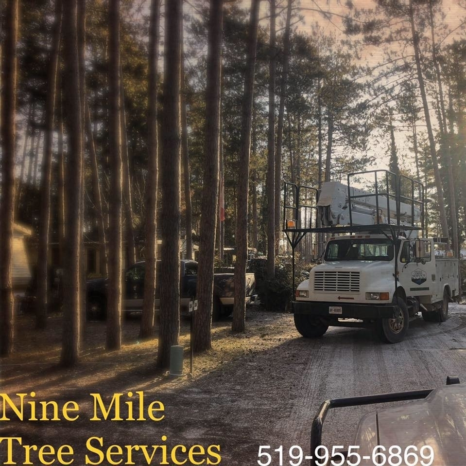 Nine Mile Tree Service | 84679 Kingsbridge Line RR3, Goderich, ON N7A 3X9, Canada | Phone: (519) 955-6869