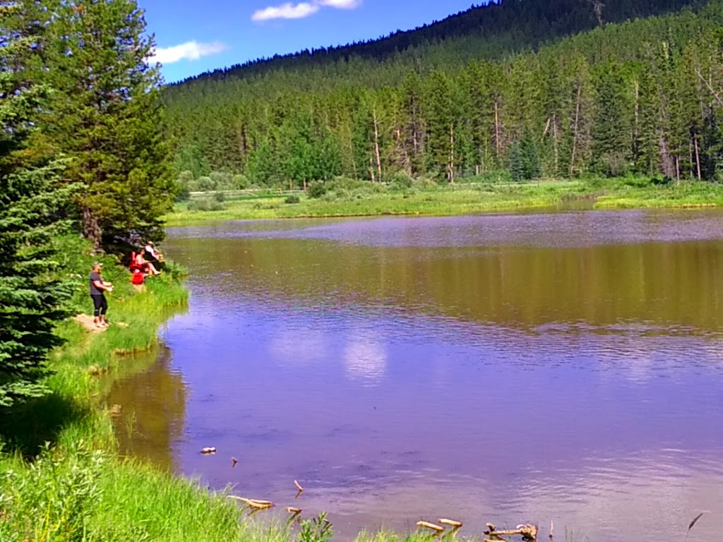 McLean Pond Day Use Area | 285 McLean Creek Trail, Bragg Creek, AB T0L 0K0, Canada