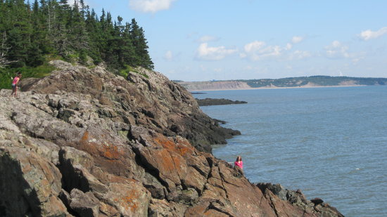 Irving Nature Park Barbecue Area | 1600 Sand Cove Rd, Saint John, NB E2M 4Z8, Canada | Phone: (506) 653-7367