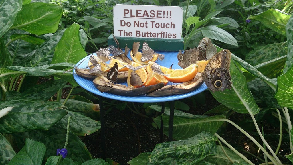 Butterfly Conservatory Visitors Parking | Unnamed Road, Niagara Falls, ON L2E, Canada