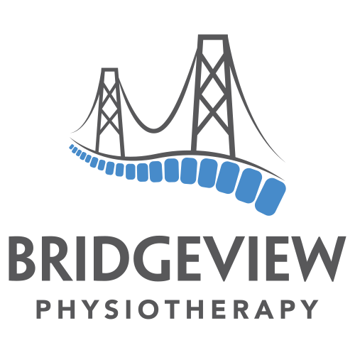 Bridgeview Physiotherapy | 32 Flamingo Dr, Halifax, NS B3M 1S7, Canada | Phone: (902) 499-7670