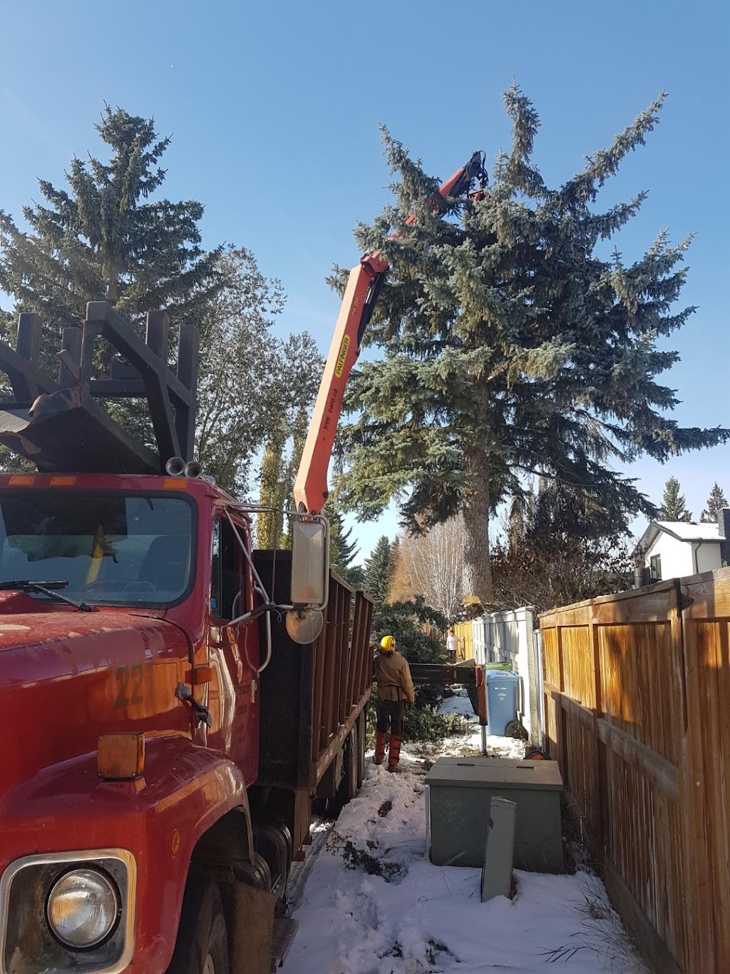 Calgary Tree Cutting | 2212 Palliser Dr SW, Calgary, AB T2V 3S3, Canada | Phone: (403) 601-0376