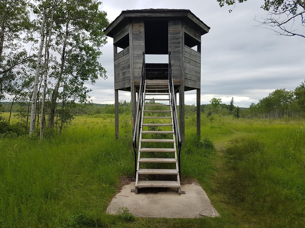 Birds Hill Provincial Park Campground | Springfield, MB R0E 1J0, Canada | Phone: (204) 948-3333