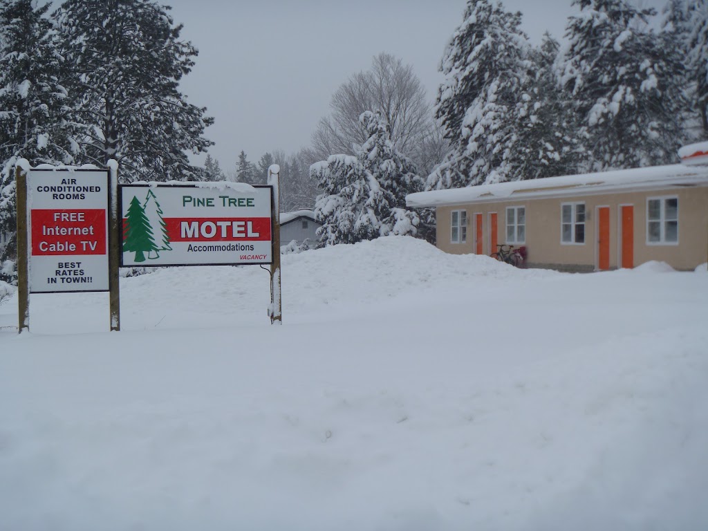 Pine Tree Motel - !UNDER NEW MANAGEMENT! | 8663 ON-60, Eganville, ON K0J 1T0, Canada | Phone: (613) 628-3403