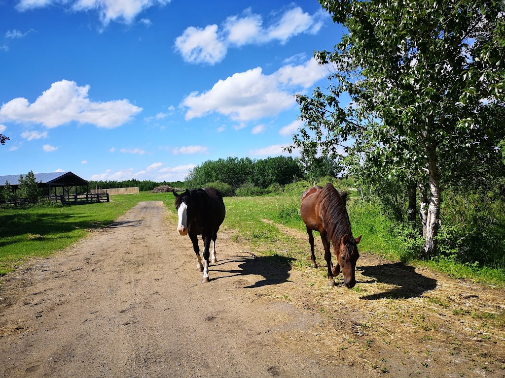 Ranger Lake Bible Camp | Unnamed Rd 0V0, Cando, SK S0M 2S0, Canada | Phone: (888) 406-1733