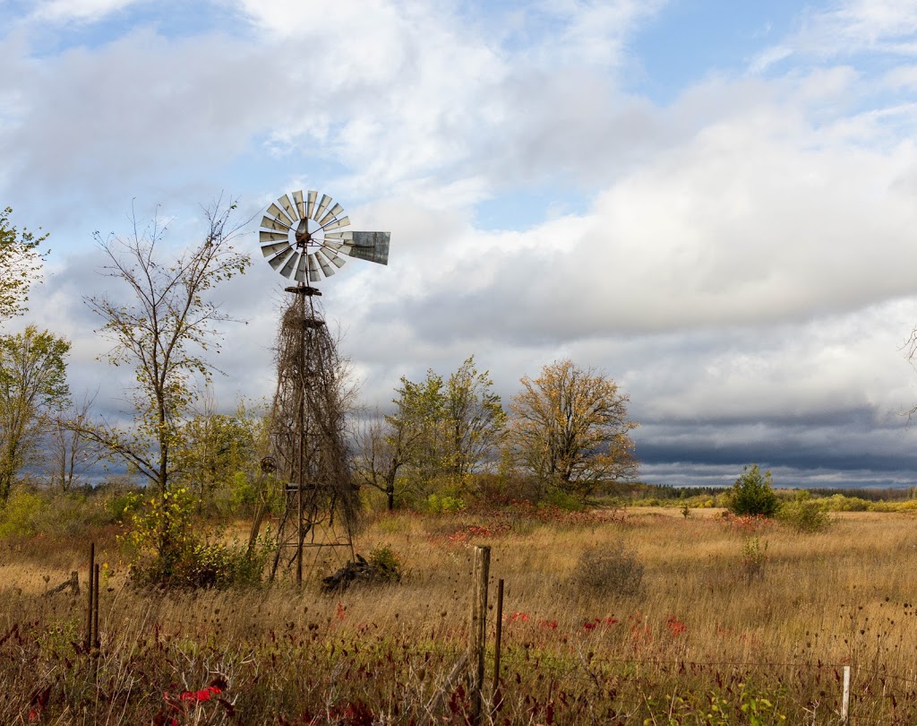 Cameron Ranch Walking Trail | 2664-2798 Kirkfield Rd, Kirkfield, ON K0M 2B0, Canada