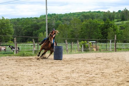 Crazy Horse Ranch | 318 QC-161, Saint-Christophe-dArthabaska, QC G6R 0M9, Canada | Phone: (819) 350-9296