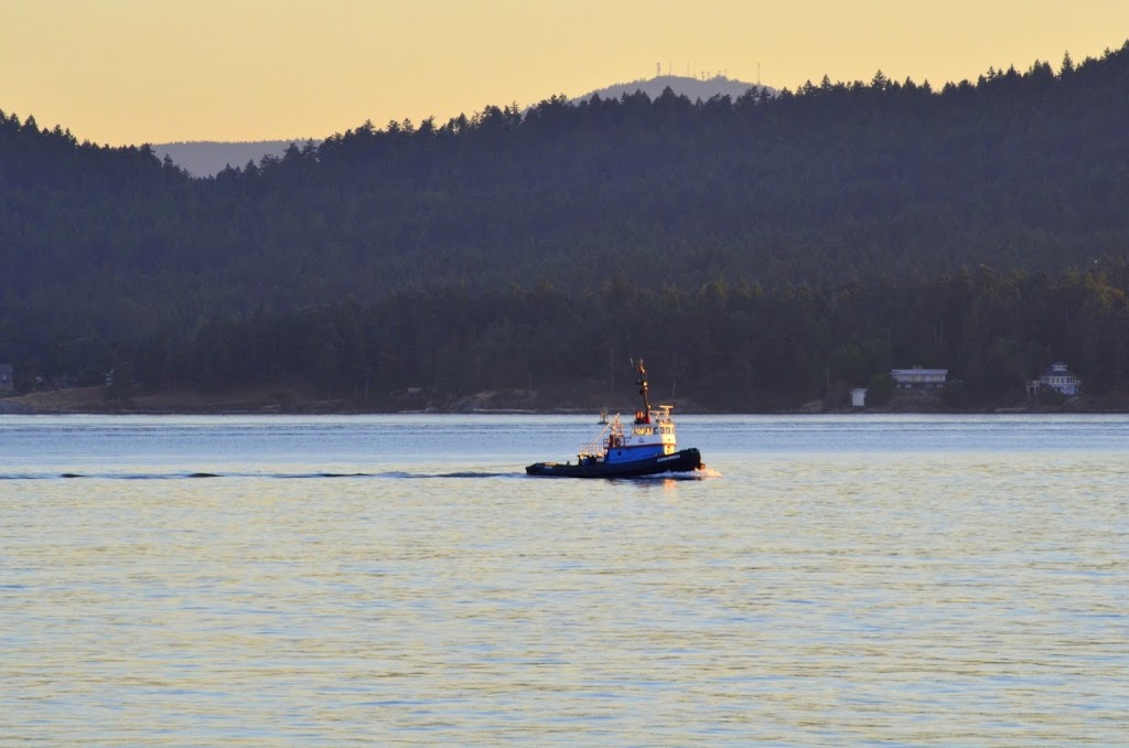 Sands of Morning Beach | 1098 Ellis Rd, Galiano Island, BC V0N 1P0, Canada | Phone: (250) 539-3783