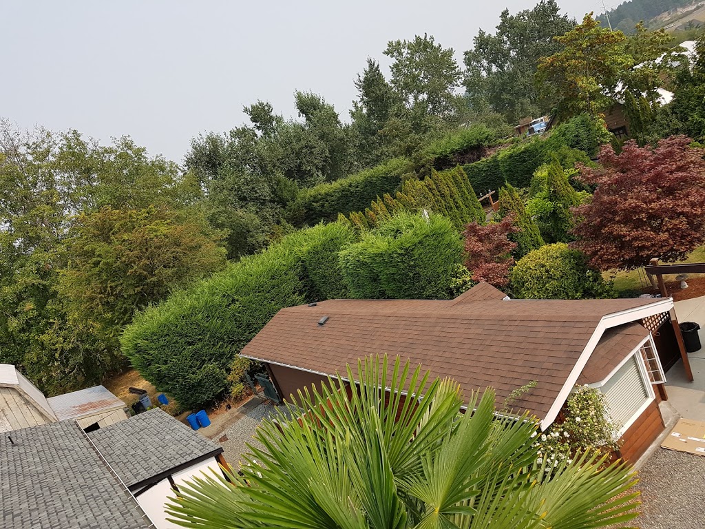 Roof Demossing Victoria | 504-707 Esquimalt Rd, Victoria, BC V9A 3L7, Canada | Phone: (778) 400-4724