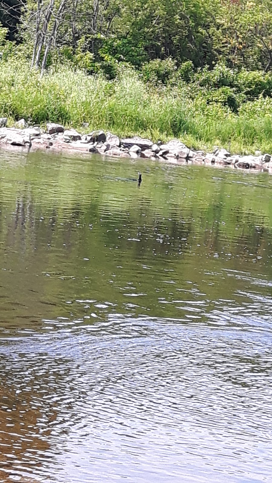 Parc du Domaine Etchemin | St-Romuald, Levis, QC G6V 3W9, Canada