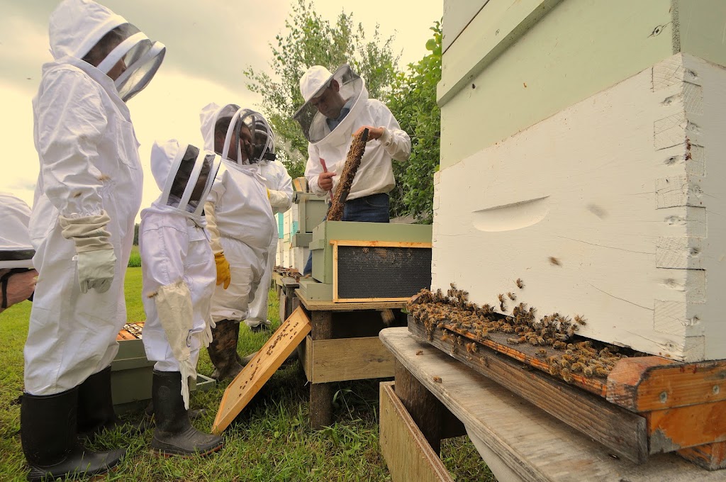 Christy Creek Honey | Box 2174, Lac la Biche, AB T0A 2C0, Canada | Phone: (780) 623-4496