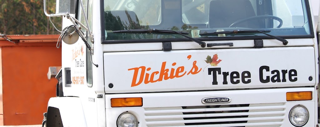 Dickies Tree and Shrub Care | 75 Townline, Orangeville, ON L9W 1V7, Canada | Phone: (905) 587-1587