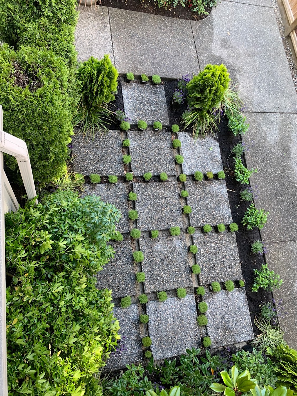 Edge Property Maintenance & Landscaping | 4768 Ranger Ave, North Vancouver, BC V7R 1M3, Canada | Phone: (778) 788-3115