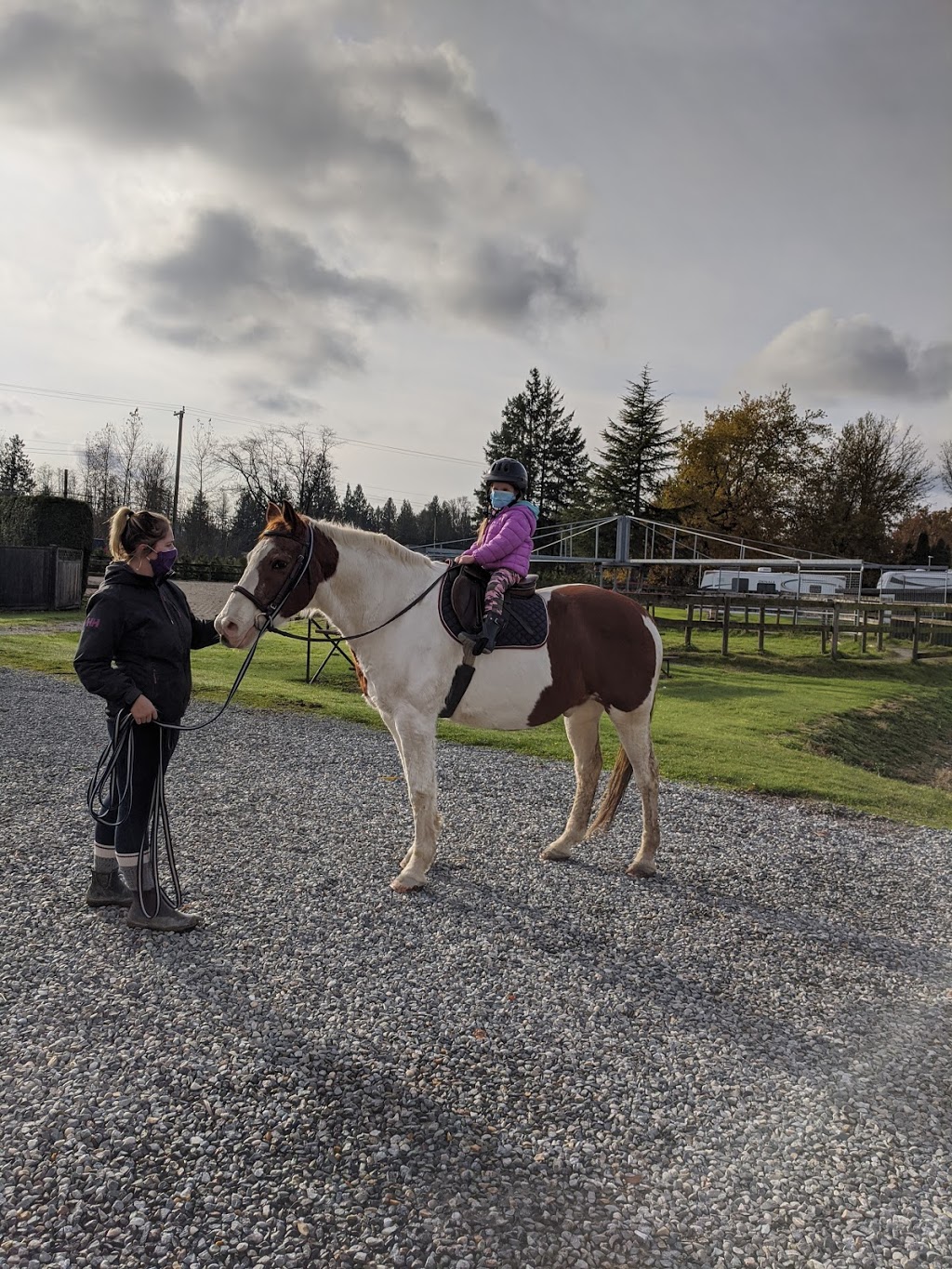 Windsor Stables | 25241 Fraser Hwy, Aldergrove, BC V4W 1Z9, Canada | Phone: (604) 857-0098